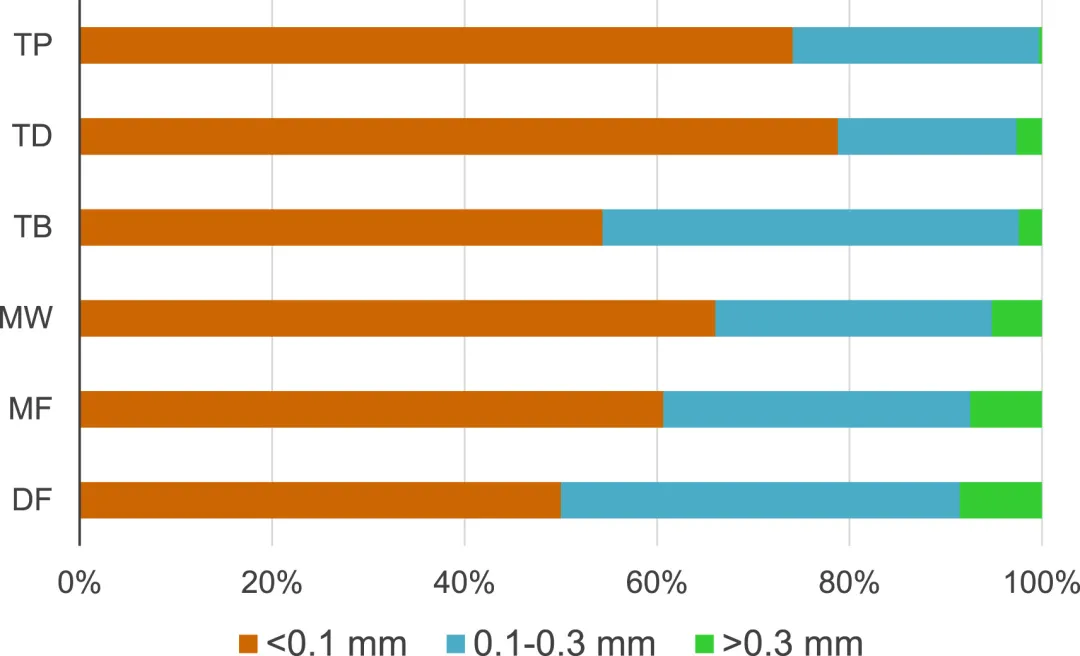 7.webp